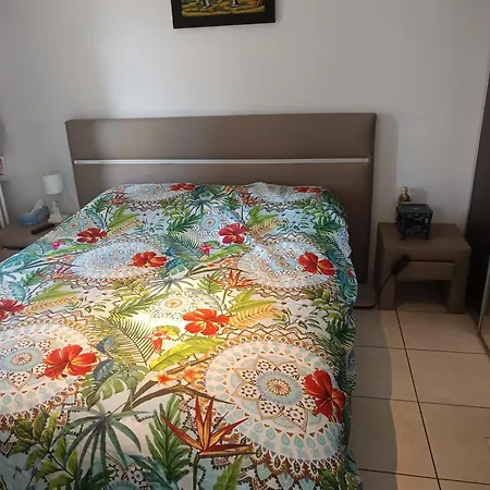 Apartment 2 Pieces Proche Aeroport